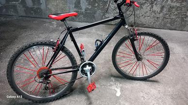 Bicicletta mountain  bike 