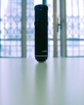 Microfono Condensatore Sterling Audio ST51 FET