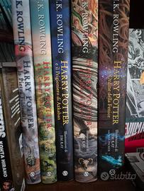 Harry Potter illustrato da Jim Kay sequenza 1-5 