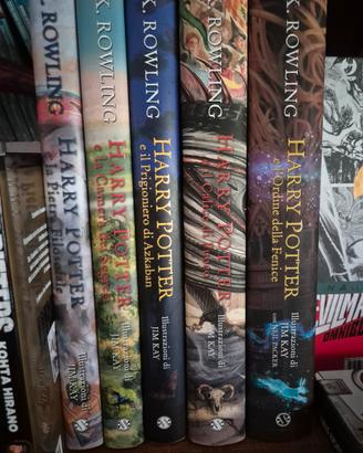 Harry Potter illustrato da Jim Kay sequenza 1-5 