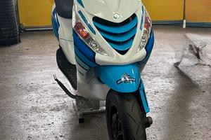 Zip Sp Polini Big Evo 94