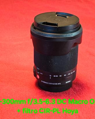 Sigma 18-300 Sony a (alpha mount) + CPL