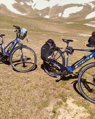 bici Atala clever
