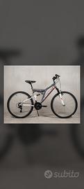 bici da sistemare