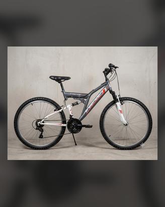 bici da sistemare