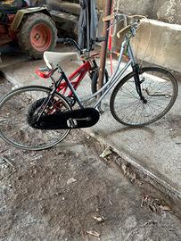 Bici da passeggio
