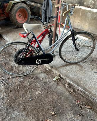 Bici da passeggio