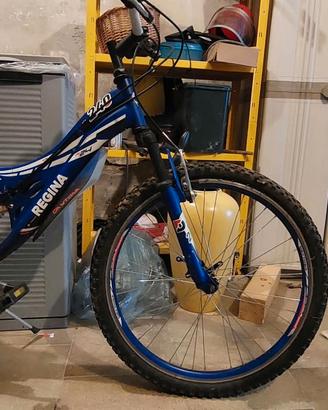 MTB bambino/ragazzo Regina Daytona Replica 24", bi