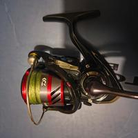 Daiwa ninja lt 2000