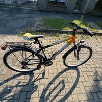 bicicletta da Ragazzo