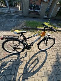 bicicletta da Ragazzo