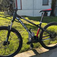 Olympia Cobra 27,5 mis M