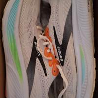 Brooks ghost 17