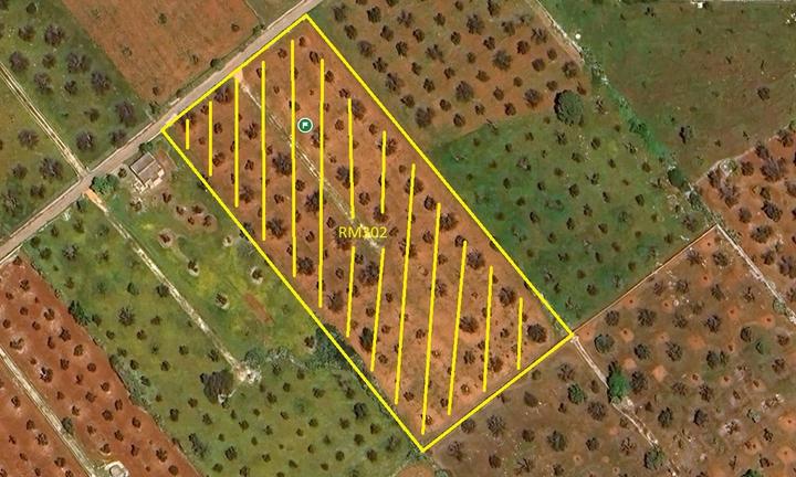 Terreno Agricolo - Ugento