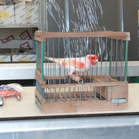 Solo per chi e interessato