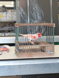 Solo per chi e interessato