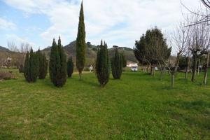 Terreno Agricolo Marostica [1456794VCG]