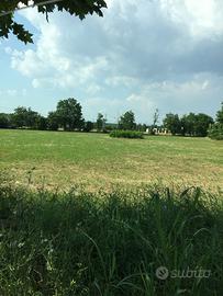 STUPENDO TERRENO 9.900 metri quadri