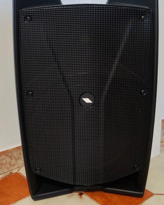Casse Amplificate Proel V12 plus