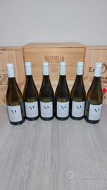 Volpe Pasini Chardonnay IGT 2025 – 6x0,75Lt Btg