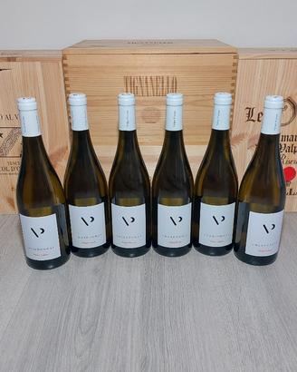 Volpe Pasini Chardonnay IGT 2025 – 6x0,75Lt Btg