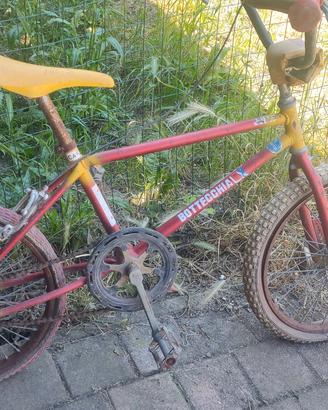 bottecchia Jolly
