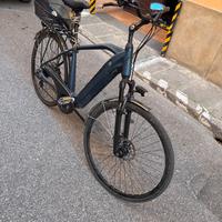Bicicletta con Pedalata Assistita (elettrica)