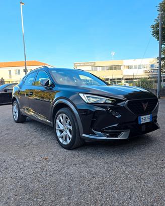 Cupra Formentor 2.0 TDI 4Drive DSG 4x4