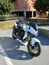 Kawasaki Z750 2010