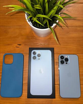Iphone 13 Pro Max 256 Gb