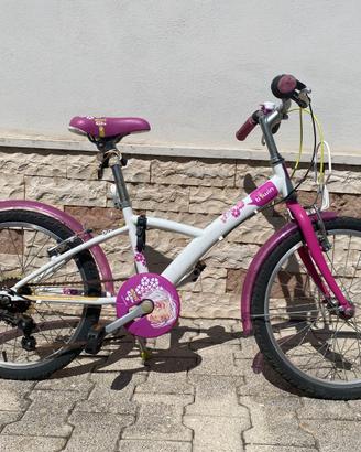 Bicicletta