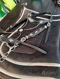 completo  spettacolo cavallo