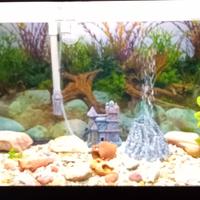 Acquario 110 litri!!