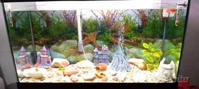 Acquario 110 litri!!