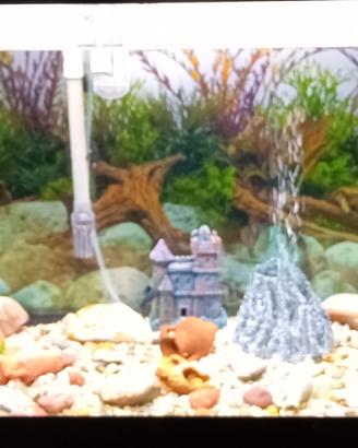 Acquario 110 litri!!