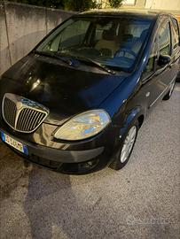 Lancia musa