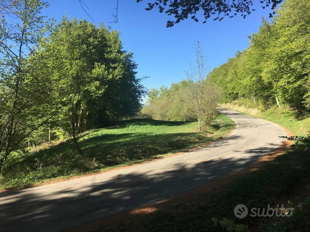 Terreno di 26500 m² a Tizzano Val Parma - Vista 6