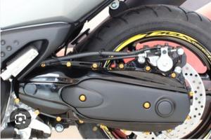 Forcellone + ammort + cavalletto Yamaha tmax 500