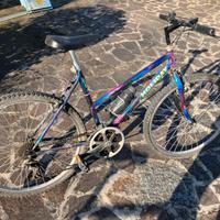 Mountain bike n.2 uomo e donna