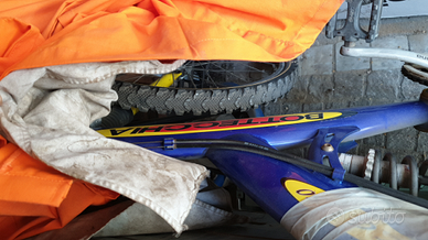 Bicicletta bottecchia