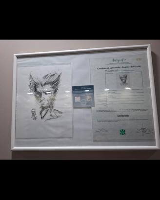 disegno di wolverine fatto e autografato ma marc s