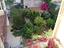 Immagine 9