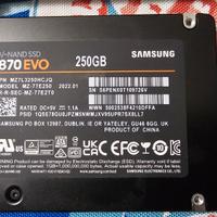 Hard Disk SSD Samsung Evo 870 2,5" Sata 250Gb