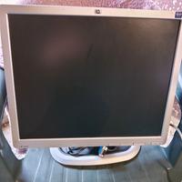 Schermo PC Hp