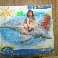Delfino gonfiabile INTEK
