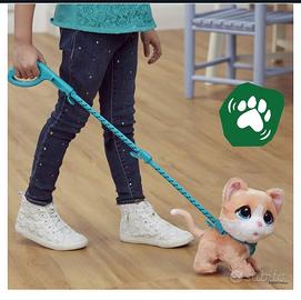 Gatto furreal si pprta a spasso ,zonna Eur