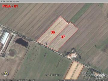 Terreno di 128420 m² a Pisa