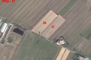 Terreno di 128420 m² a Pisa