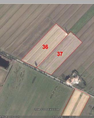 Terreno di 128420 m² a Pisa