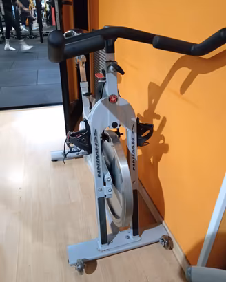 Bike Spinning Schwinn Evolution 